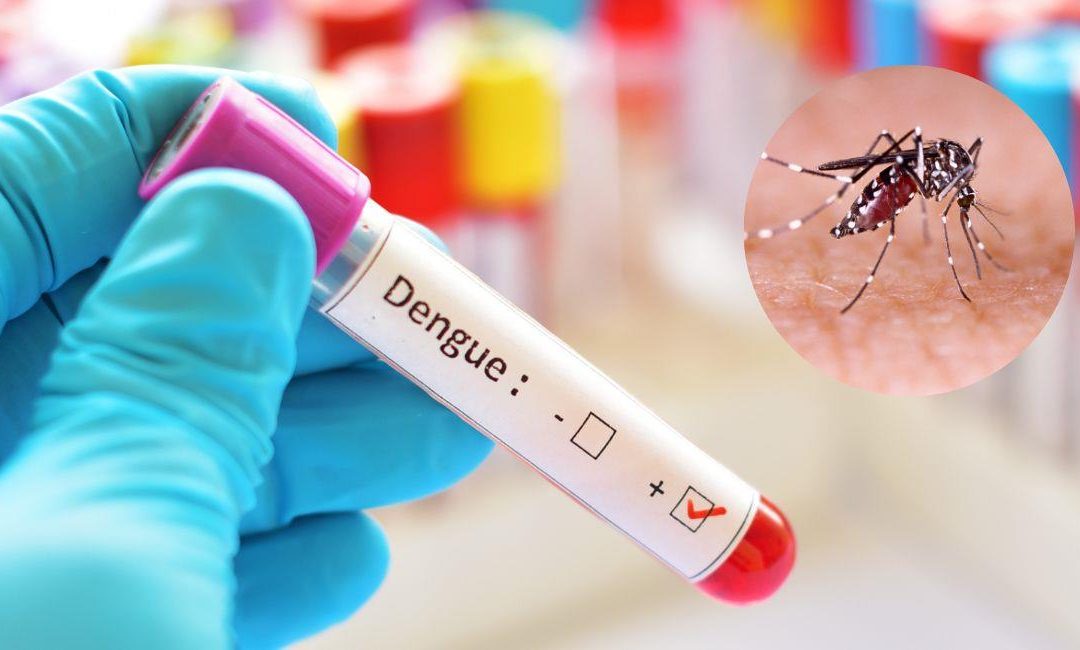 Colombia frente al dengue: por qué la Semana de Acción contra los Mosquitos es más urgente que nunca