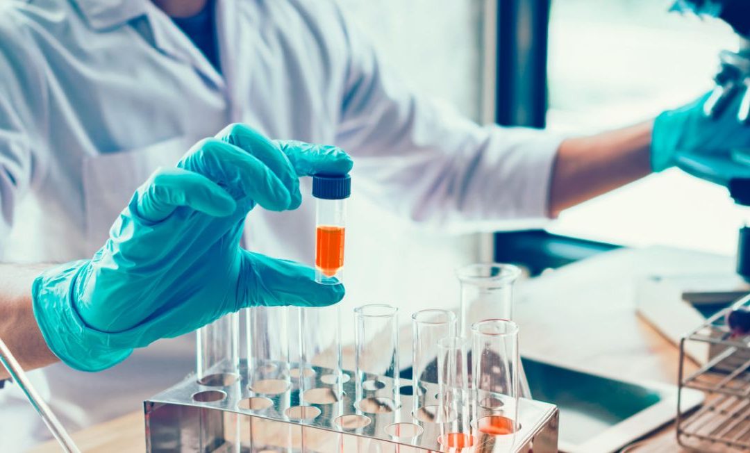 La voz de los expertos: ¿quiénes participaron en el Observatorio de Buenas Prácticas Regulatorias?